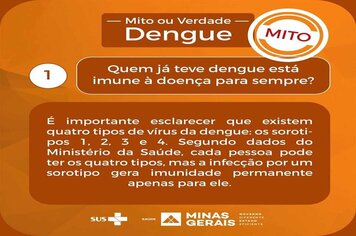 Foto - INFORMATIVOS - DENGUE